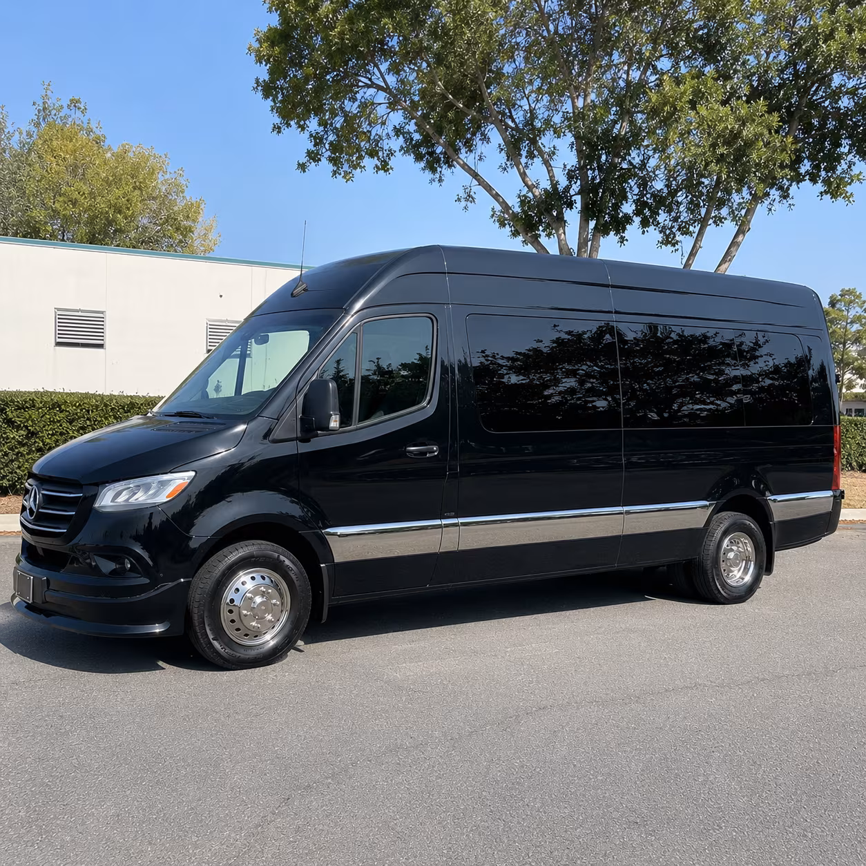 14 Passenger Sprinter Limo Exterior
