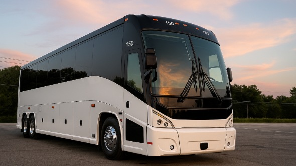 conway bachelor and bachelorette party bus rentals
