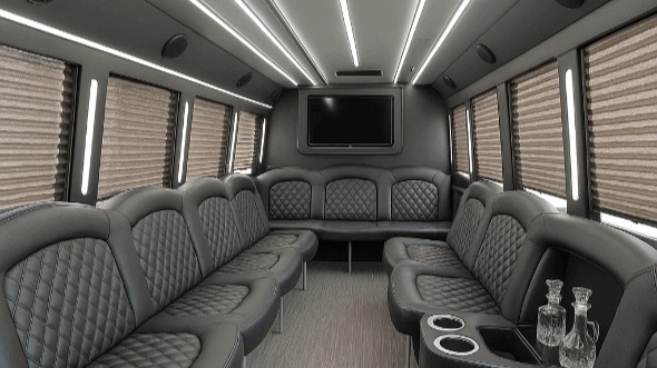 little rock 28 passenger party bus rental
